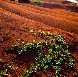 《纸嫁衣4》Steam版4月28日解锁 首周售价28元