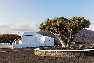 传育碧开发《孤岛惊魂7》和《孤岛惊魂》多人游戏