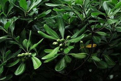 克系横版过关游戏《疯狂之源》正式版发售 支持简体中文