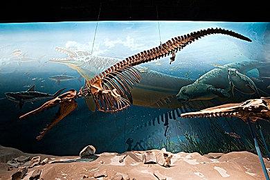 传育碧可能被收购 公司股价上涨了11%